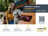 Volkswagen ID.3 Pro Blue (thumbnail-18) 